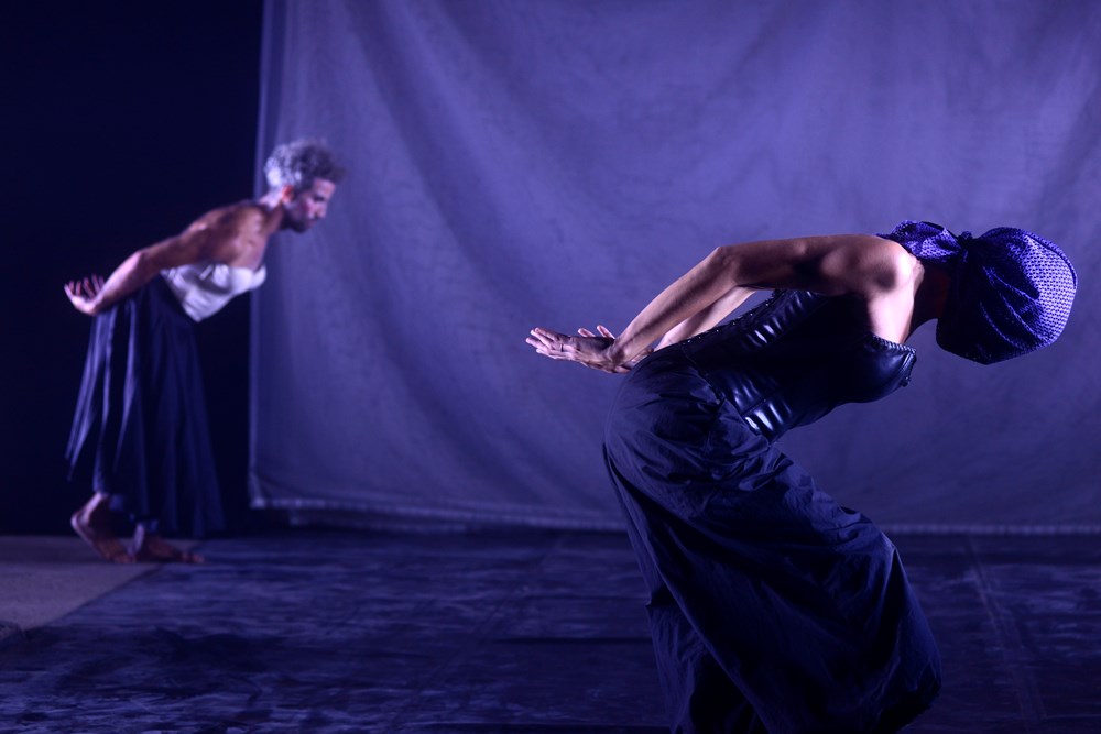 La Cerda  (Snimio Dejan Štifanić)